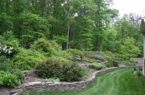 Woodland terraced garden