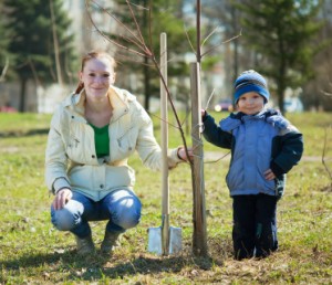 Mother and Son Tree Planting