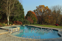 Natural Poolside Garden