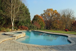 Natural Poolside Garden | West Winds Nursery