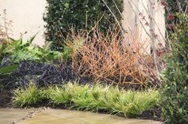 Home and Garden Exhibit 2014 plant list