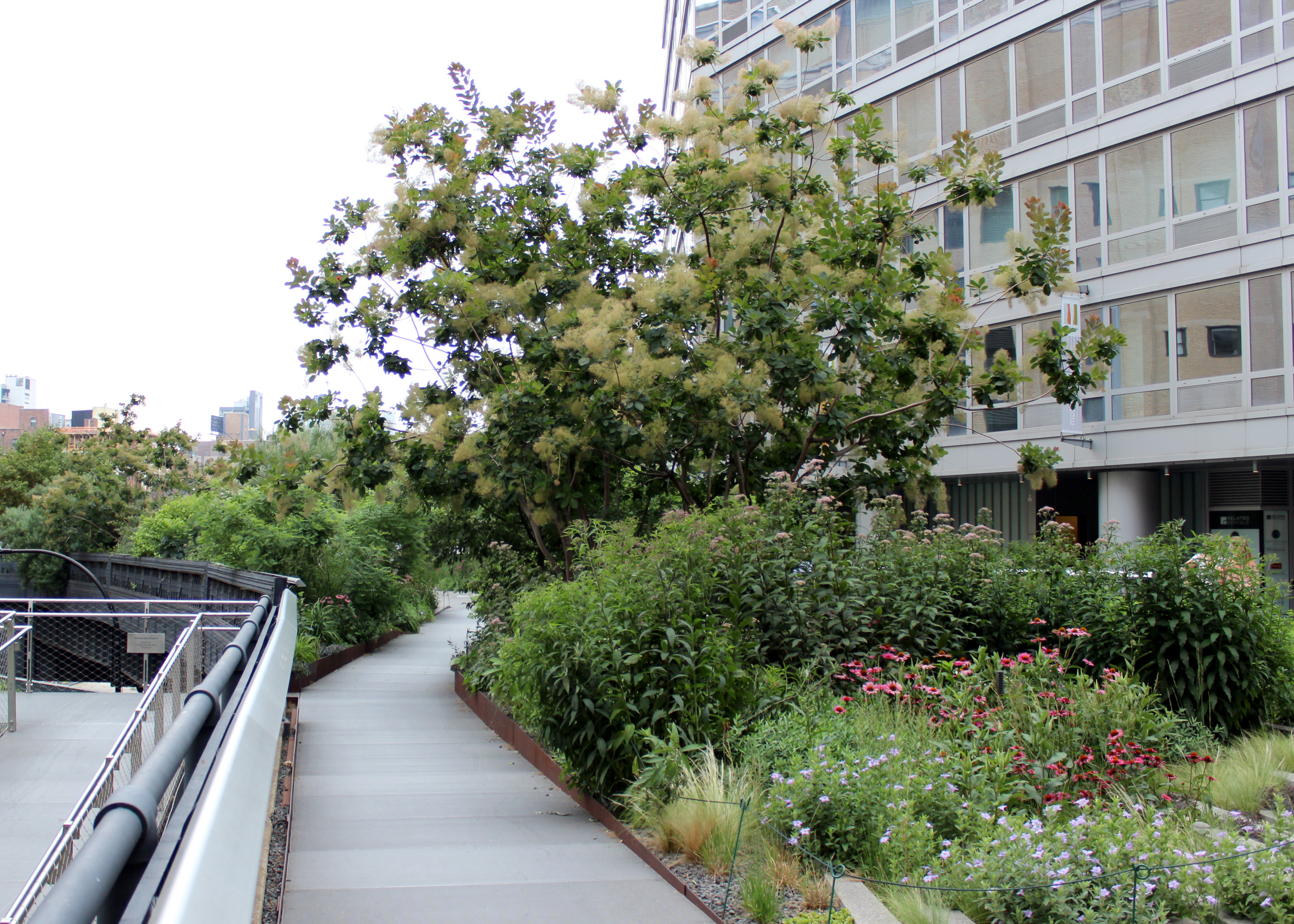 The History of High Line - Gardening