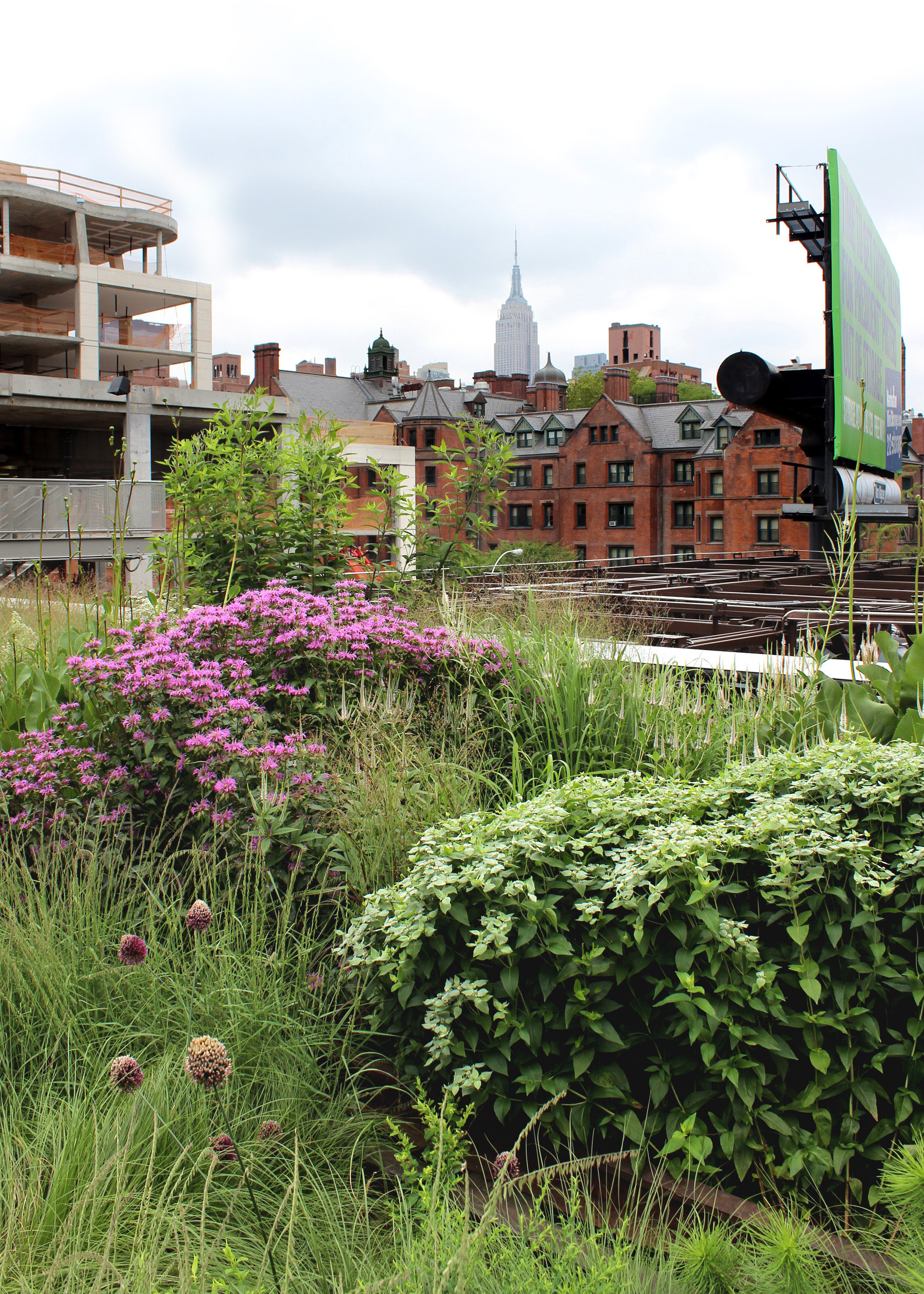 The History of High Line - Gardening