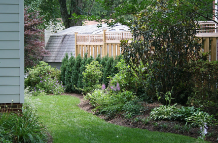 Beautiful Garden