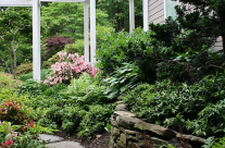 Lush Retaining Wall