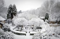 Winter – A Great Time for Planning Your Garden