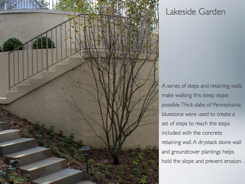 WWN Lakeside Garden (low res).005